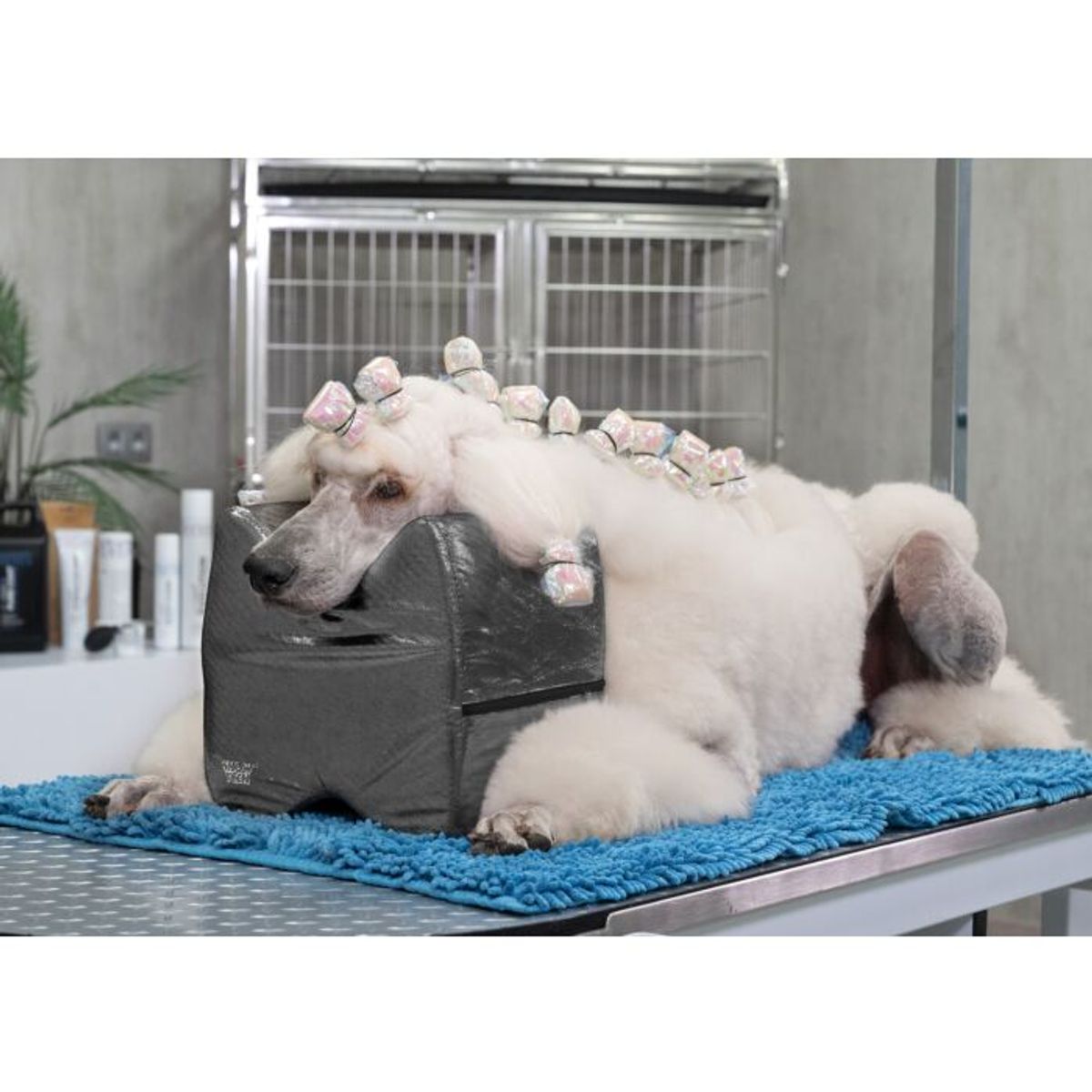 Grooming pute Sort Topknot Cushion Glitzy (Big), ShowTech