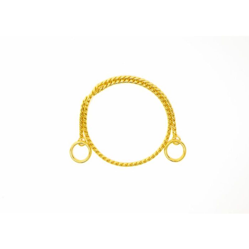  25cm x 2,5mm Show Chain Gold, Show Tech