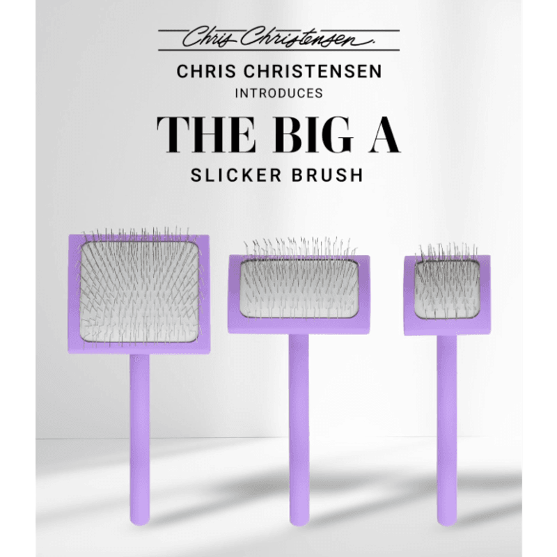 Big A Slicker Brush Purple (Medium), Chris Christensen
