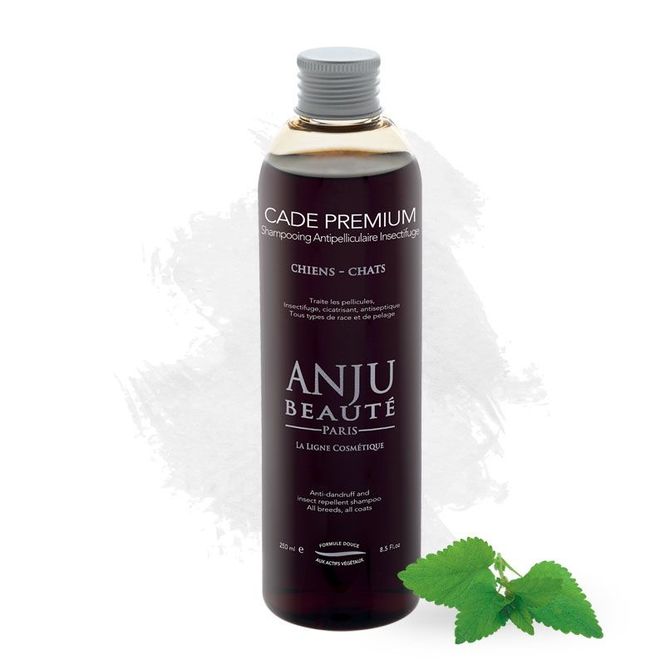 Hovedbilde Cade Premium Shampoo 250 ml, Anju Beaute