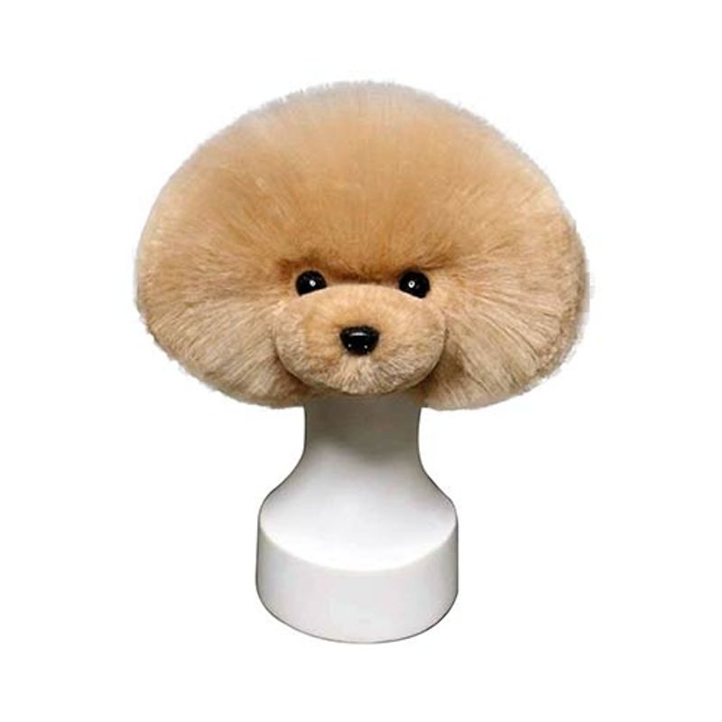 Model Dog Head White, Starzclub