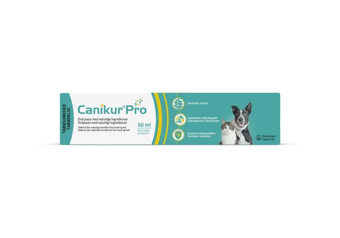 Hovedbilde Canikur Pro 60ml. pasta, Canikur