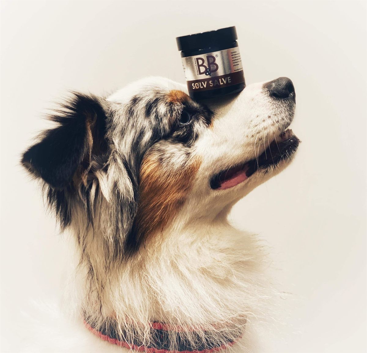 Sølvsalve 60 ml, B&B