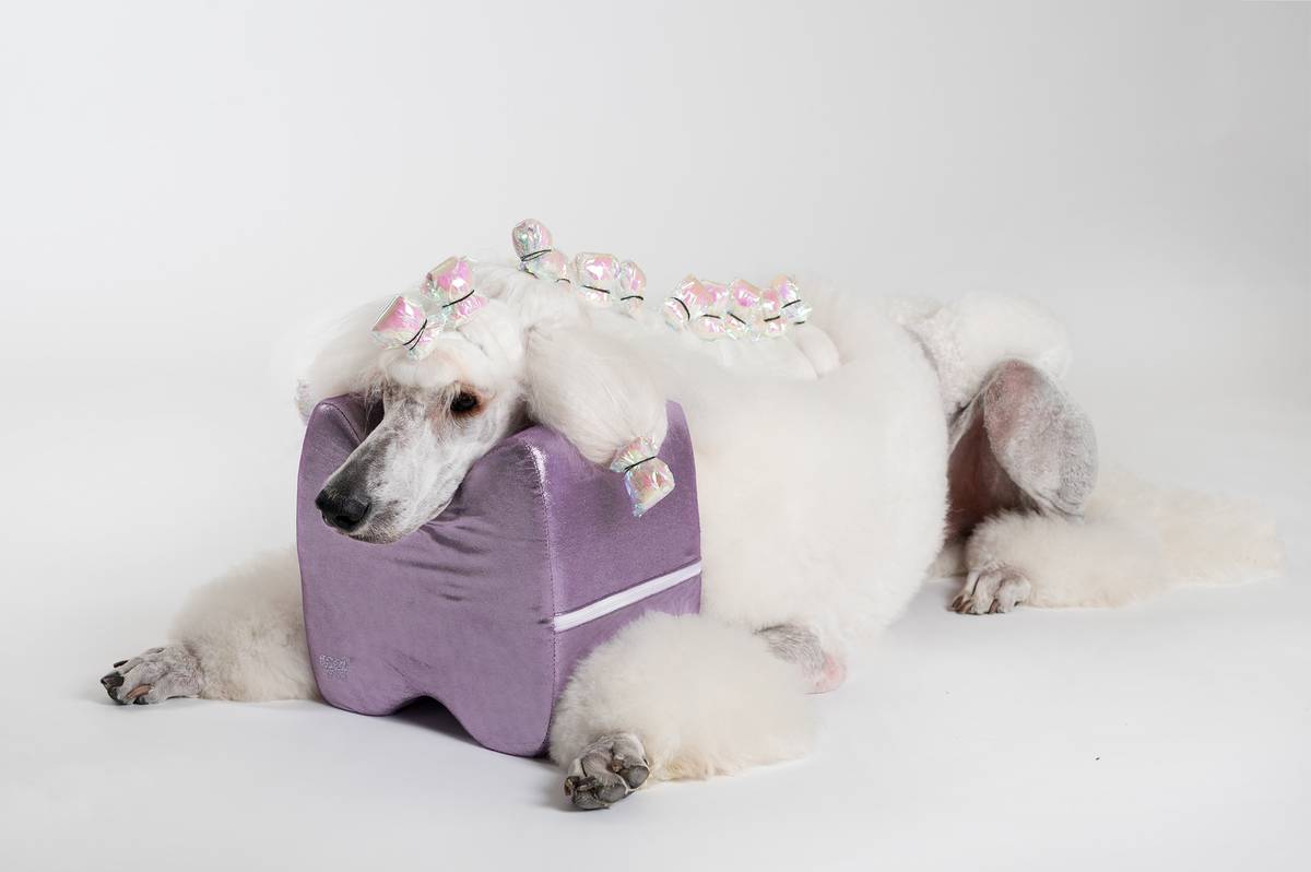 Grooming pute Lilla Topknot Cushion Glitzy (Medium), ShowTech