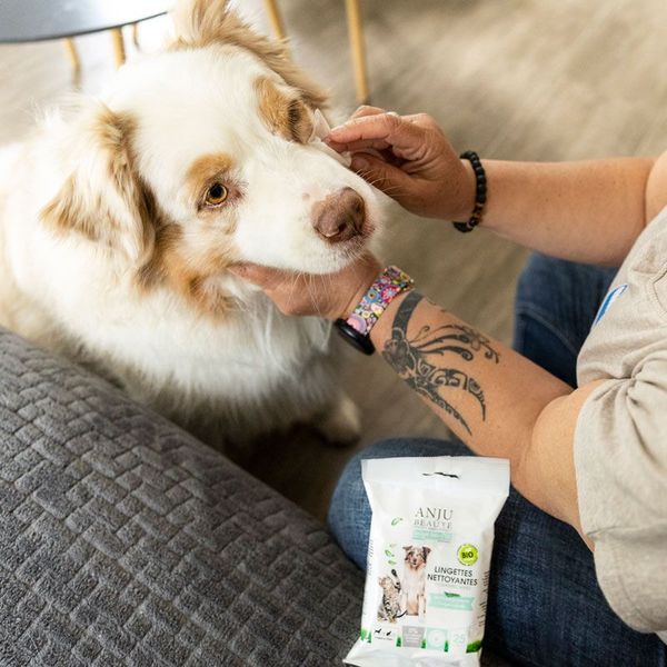 Hovedbilde Våtservietter For Hund & Katt, Anju Beautè