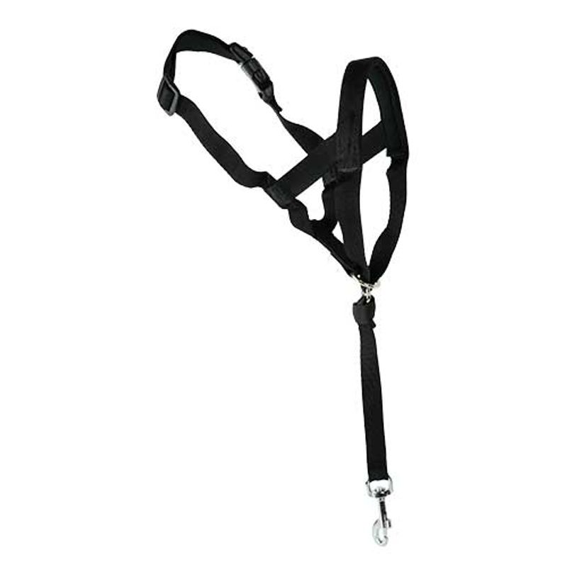 Dog Guider Hundefører Bånd 38-50cm 37cm, Ibanez