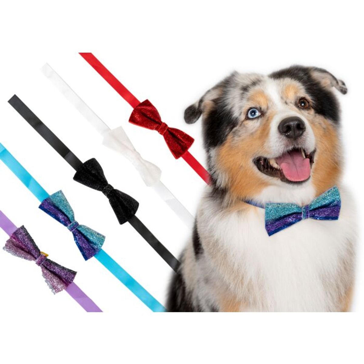 Canine Costume Dickie Bows Sparkle 10-Pack Assorted, Show Tech
