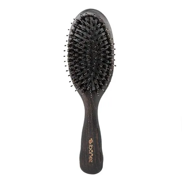 Hovedbilde Bristles and Nylon Brush, Ibanez
