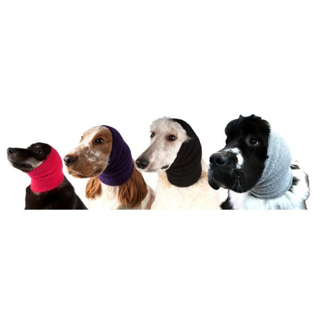 Ear Buddy Pro Pack, ShowTech