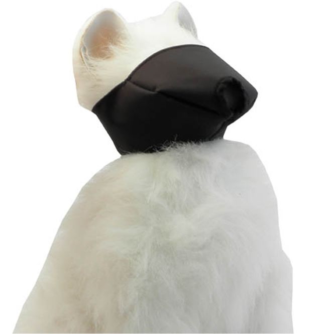 Hovedbilde Ansiktsmaske For Katt (L), Ibanez