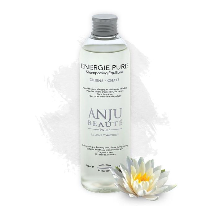 Hovedbilde Energie Pure Shampoo, 250 ml, Anju Beautè