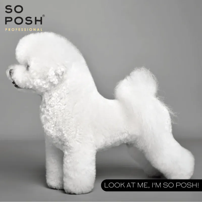 I'm So Puffy 250 ml. (Volume Conditioner), SoPosh